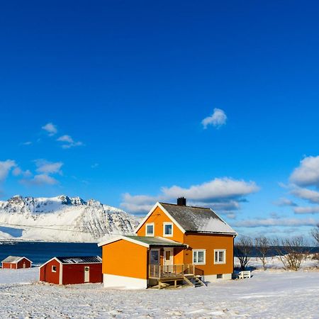 Lillevik Lofoten Gimsoy Luaran gambar